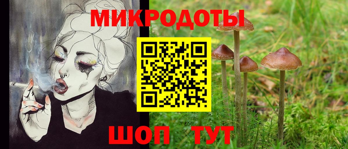 Галлюциногенные грибы мицелий Чехов