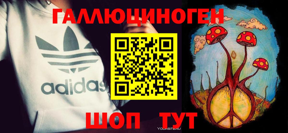 Чехов  Галлюциногенные грибы Cubensis  Вход с VPN 